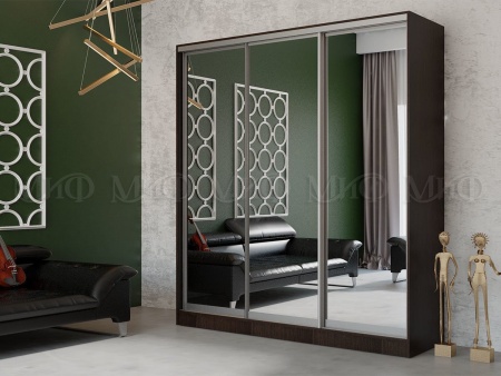 Шкаф-Купе Тринити-8 (Ш-2000 мм x В-2244 мм x Г-600 мм)/Разные Цвета
